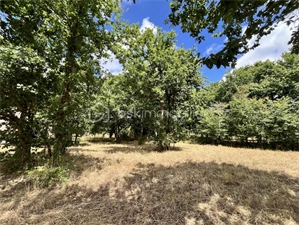 terrain à la vente -   33590  TALAIS, surface 1022 m2 vente terrain - UBI481621040